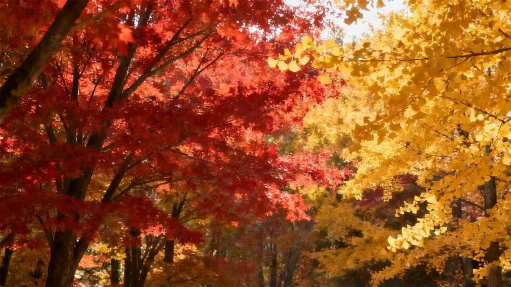 杰兰路榜单实锤！领克10 EM-P杀进插混TOP2，20万开出30万质感