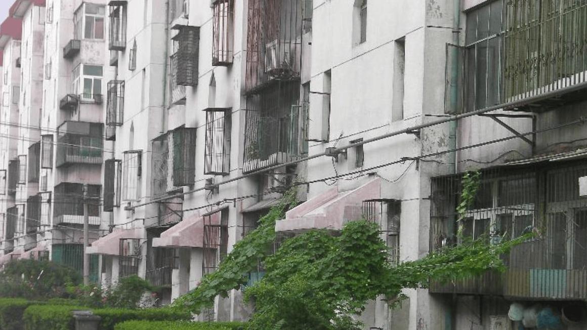 村里热议：王强玩笑般求婚是否动了真情？