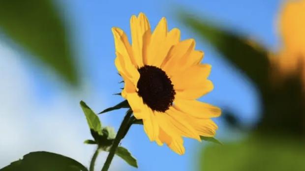 为了自己内心的充实，加油