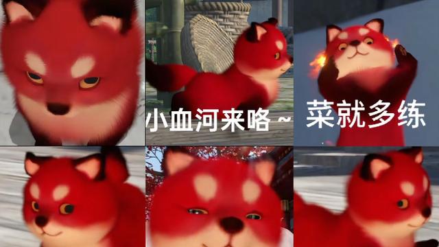 网红小狗火爆全网，网友克隆数十只同款小狗放家里看门，这对吗