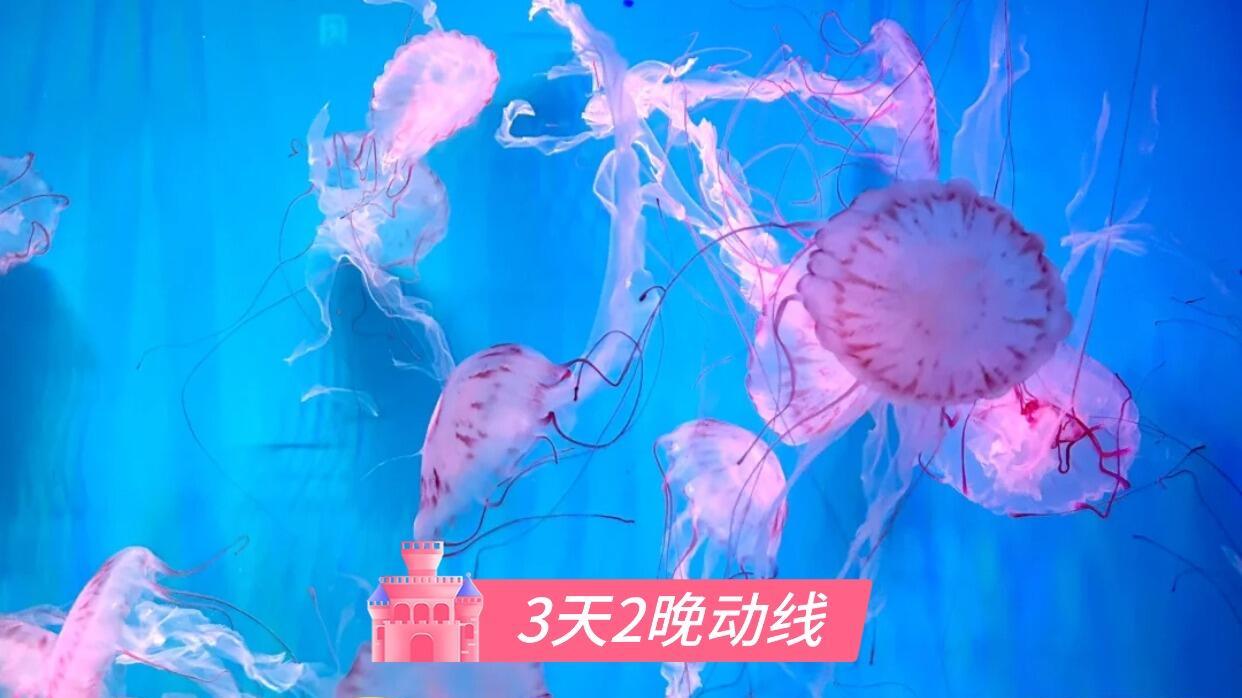 山东日照3天2晚旅行，轻松游玩