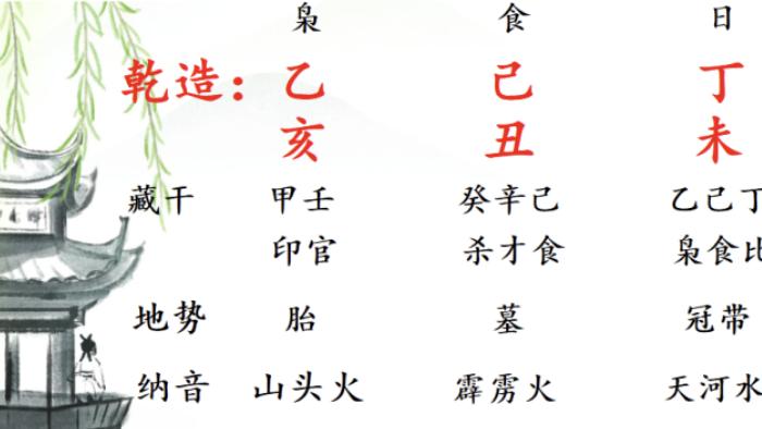 亥猪，此运十年，前五年印来生身收入颇丰