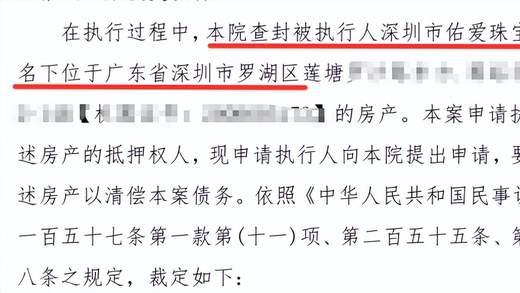 开发商名下的法拍房答疑（一）：两大关键概念解析！