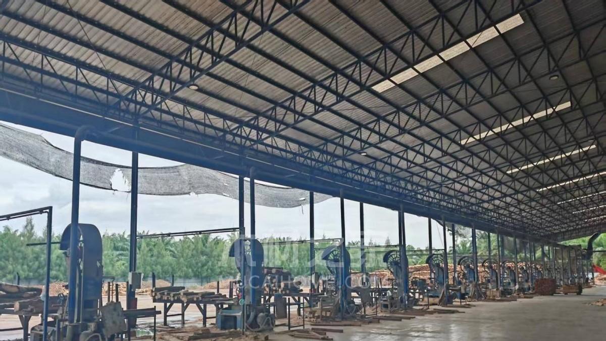 泰国橡胶木供应危机波及中国市场 年末库存告急价格看涨