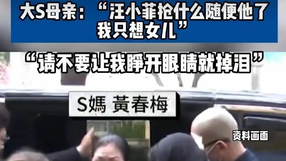 真是气人！大S走了以后，黄春梅第一次接受采访，居然说要“抢”回外孙的抚养权。这不