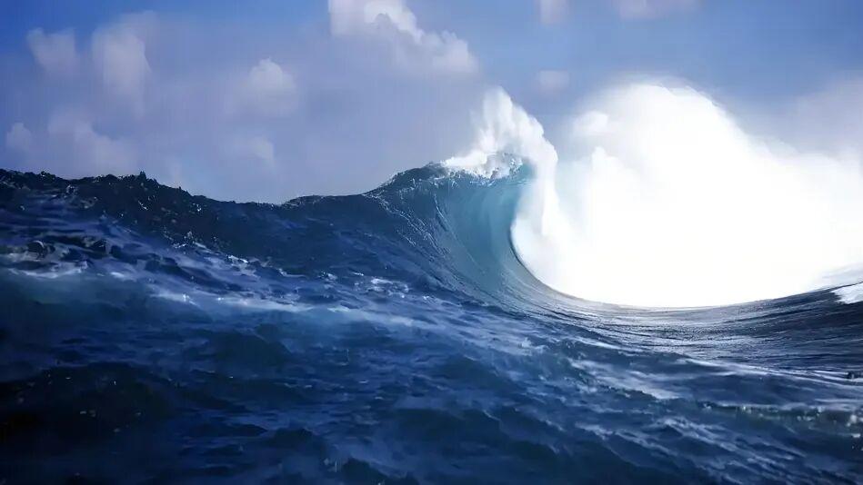 七律·怒发照霜寒