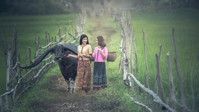 搞钱才是王道：有钱真的能让你硬气起来！