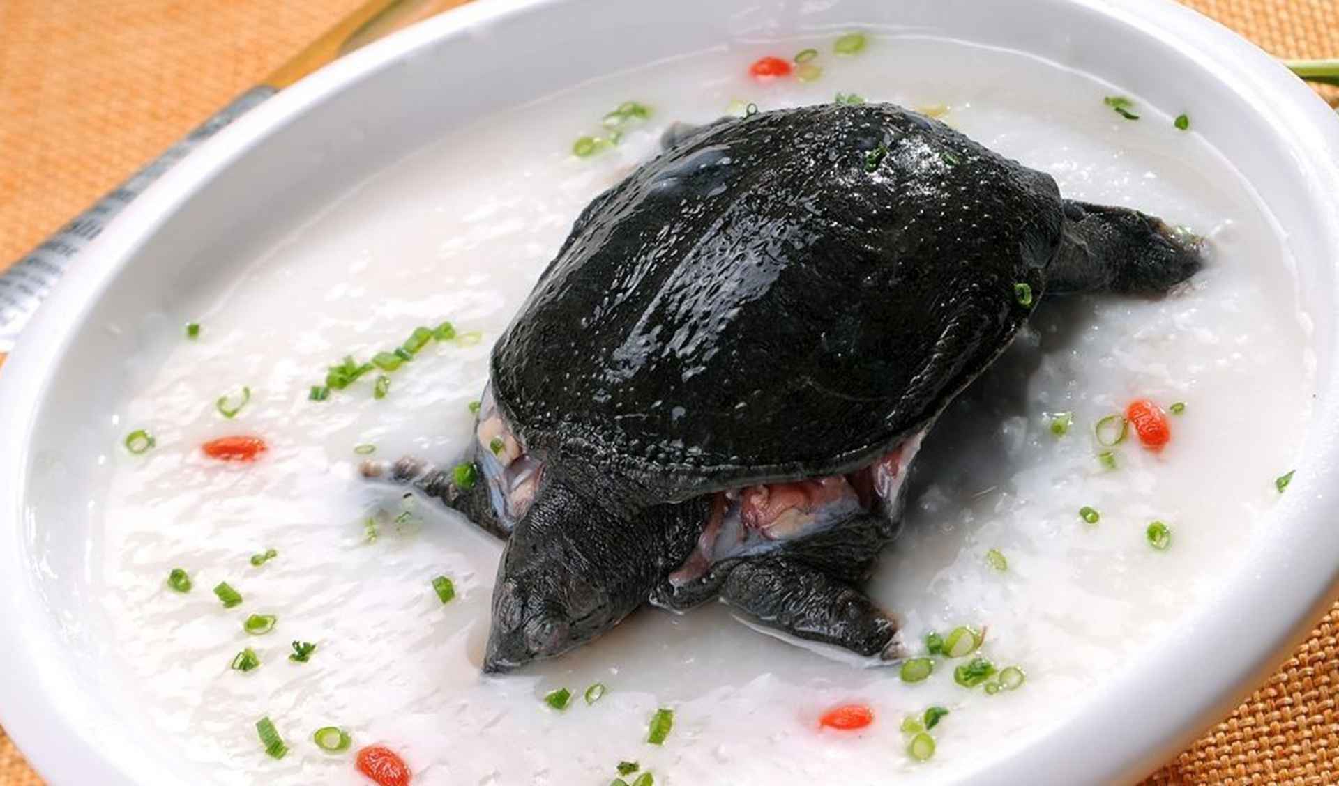 甲鱼卵壳软化症，水质硬度调控，孵化率恢复方案，老把式改良法