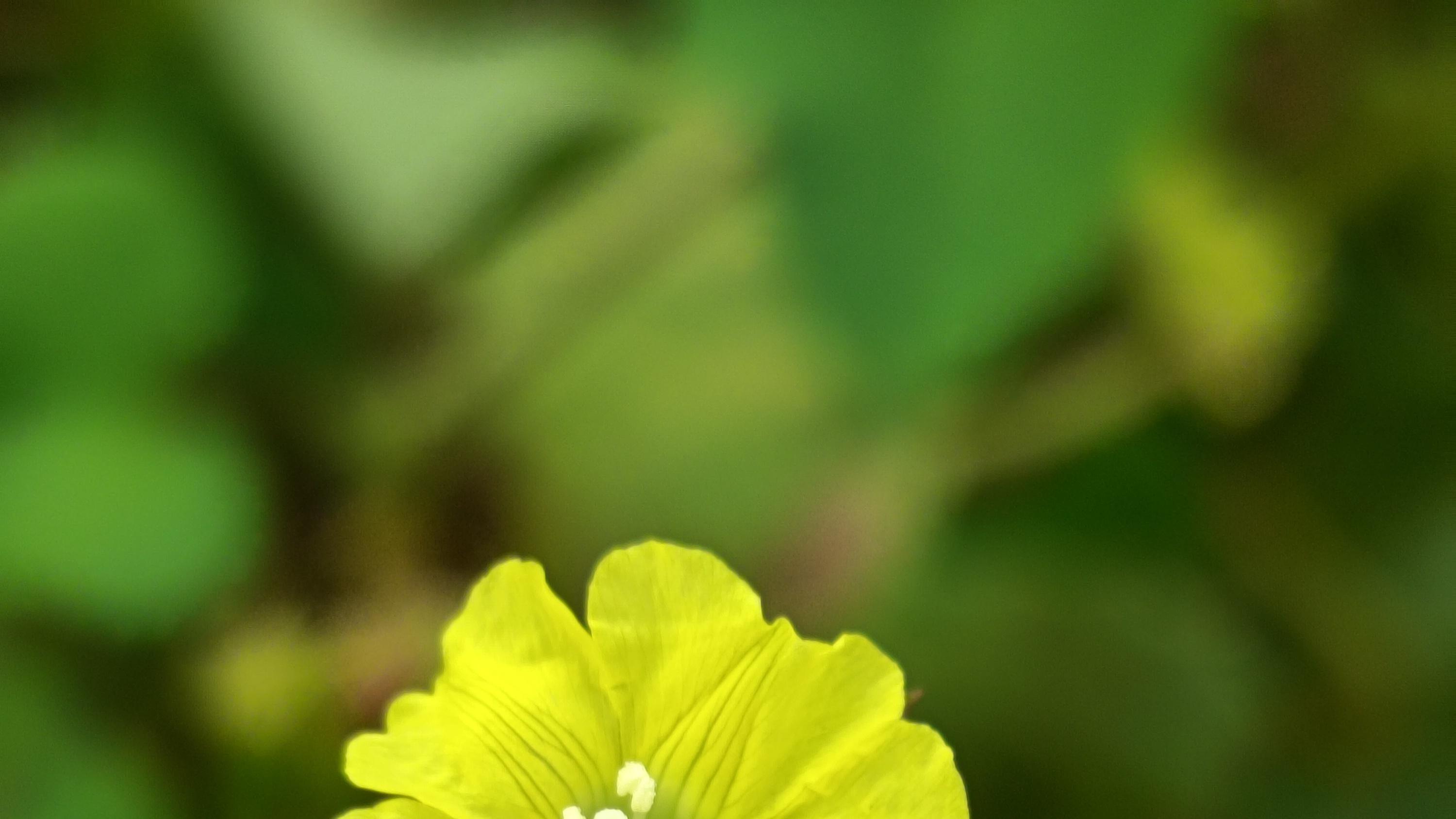 有时总会那么无奈那么的令人伤感