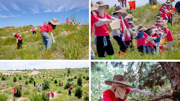 富士胶片开展第二十八届沙漠绿化行动 绿色接力为沙漠充"植"