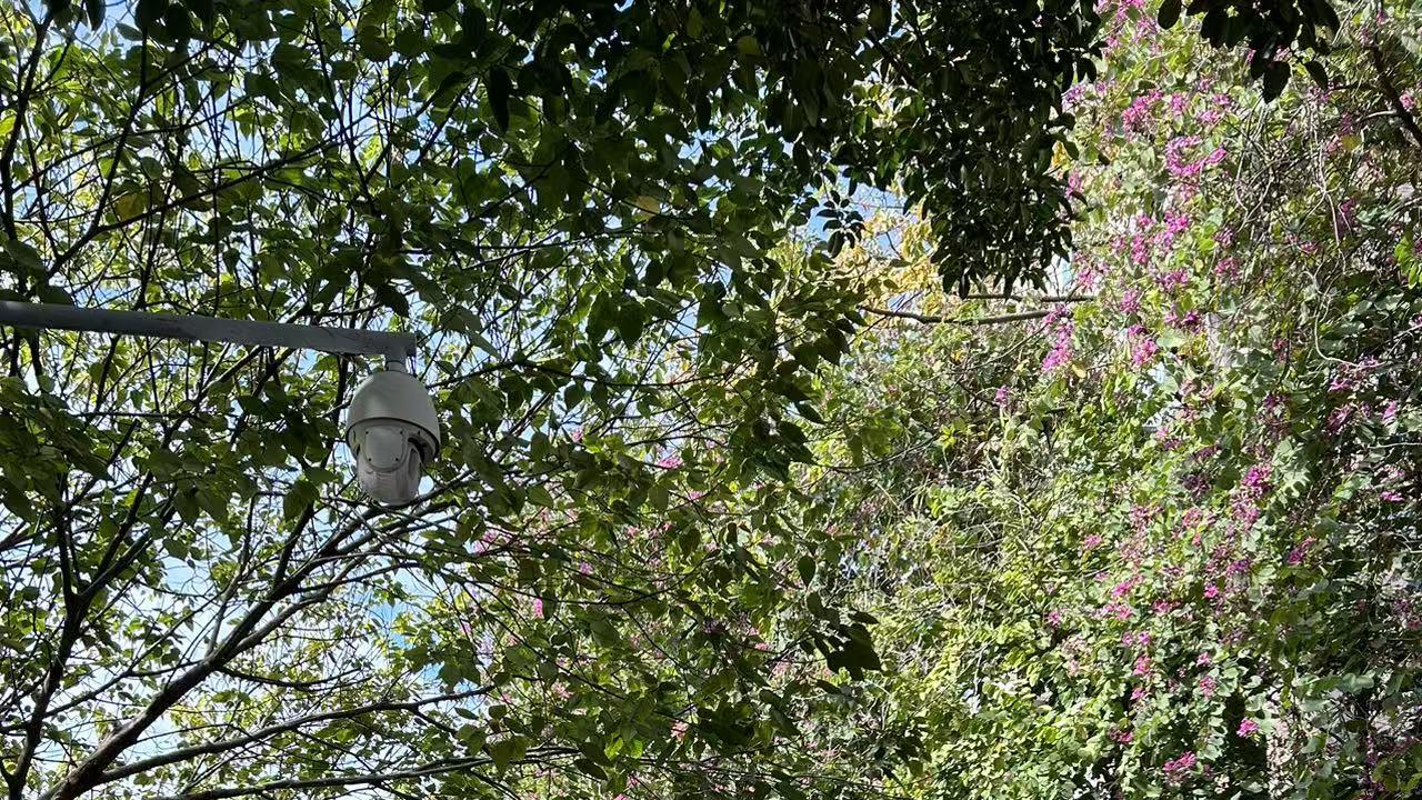 所有的打工人警惕：毒鸡汤还是少喝吧