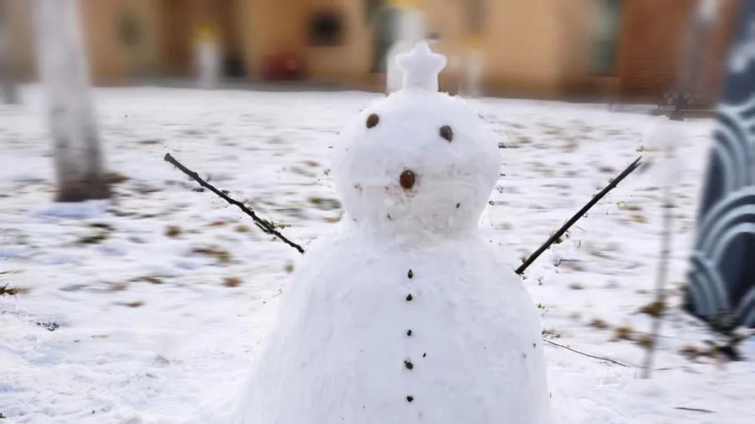 汪鲁兵：今冬的初雪