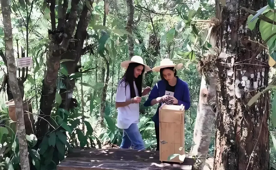 《北上》思艺饰演者李宛妲走红，背后真相竟是传奇人生而非美貌