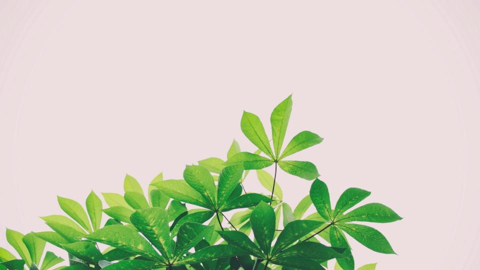 如果女儿的婚姻不幸福，她想离婚，作为父母，你会支持并且帮衬她吗？