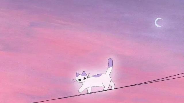 骨子里爱你的人，才会这样和你相处，错不了