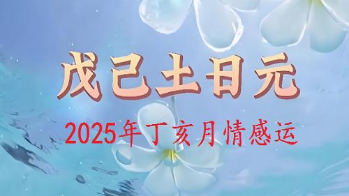 戊己土日主，2025年阴历十月，“丁亥月”情感运