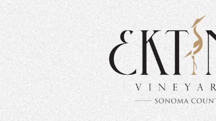 艾鹭红酒馆｜趣味盲品解锁葡萄酒魅力！