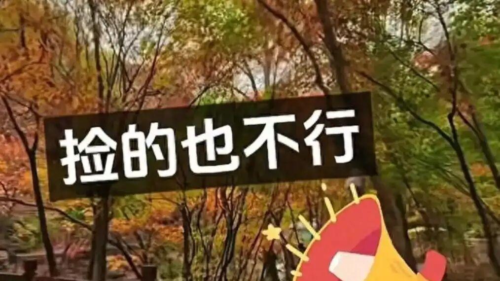 长假旅游，景区对待游客，不可过于苛刻