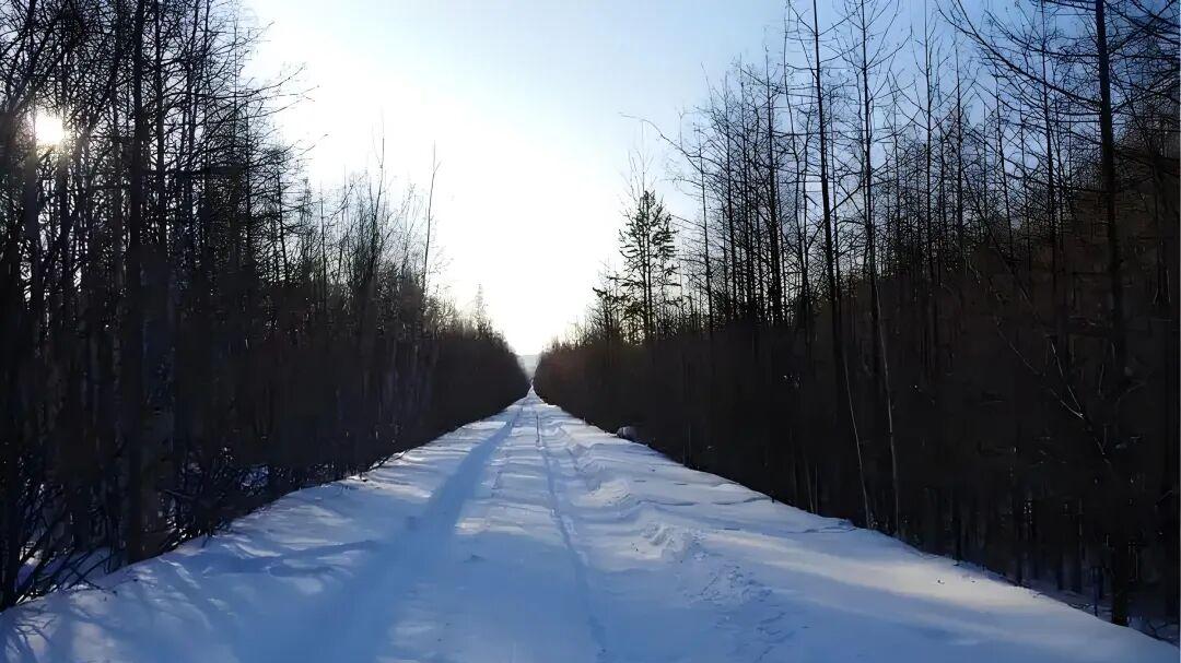 七律·岁逝沧桑叹