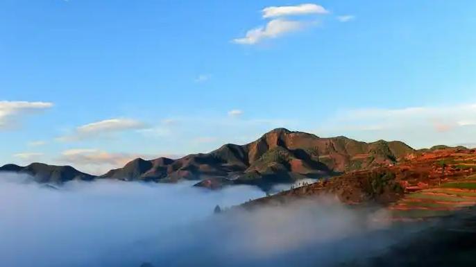 2010年他重回陕北，见到曾经的初恋女友，意外得知他还有一个儿子