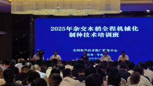 现代种业管理“五个一” 理念落地实践—智慧制种平台岑巩显数字化应用成效
