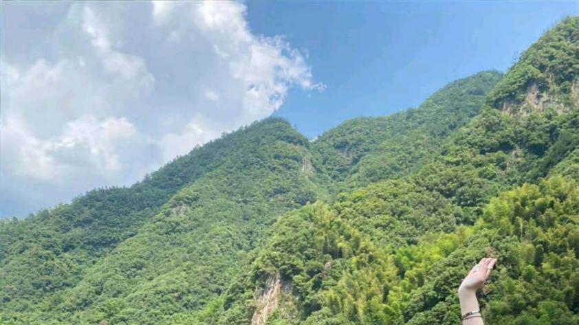 替代陌陌探探的四个社交软件，30+女性都爱用