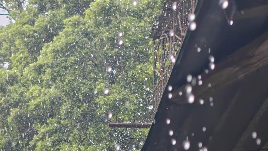 少看重复信息，多看看大自然