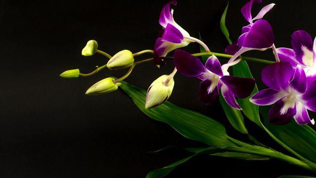 男人的钱包，藏着他对爱情的秘密