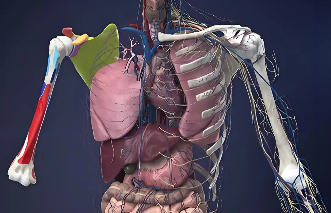南天实录第170期：隐形的“手术刀” 揭秘法医虚拟解剖