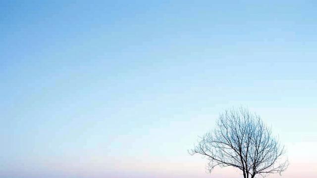 成长最好的方式，多经历、坚持、努力