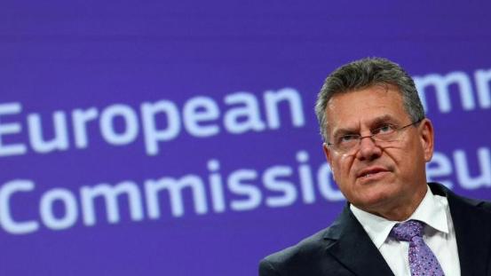 中欧稀土紧急会将开，欧称稀土管制 “有害”