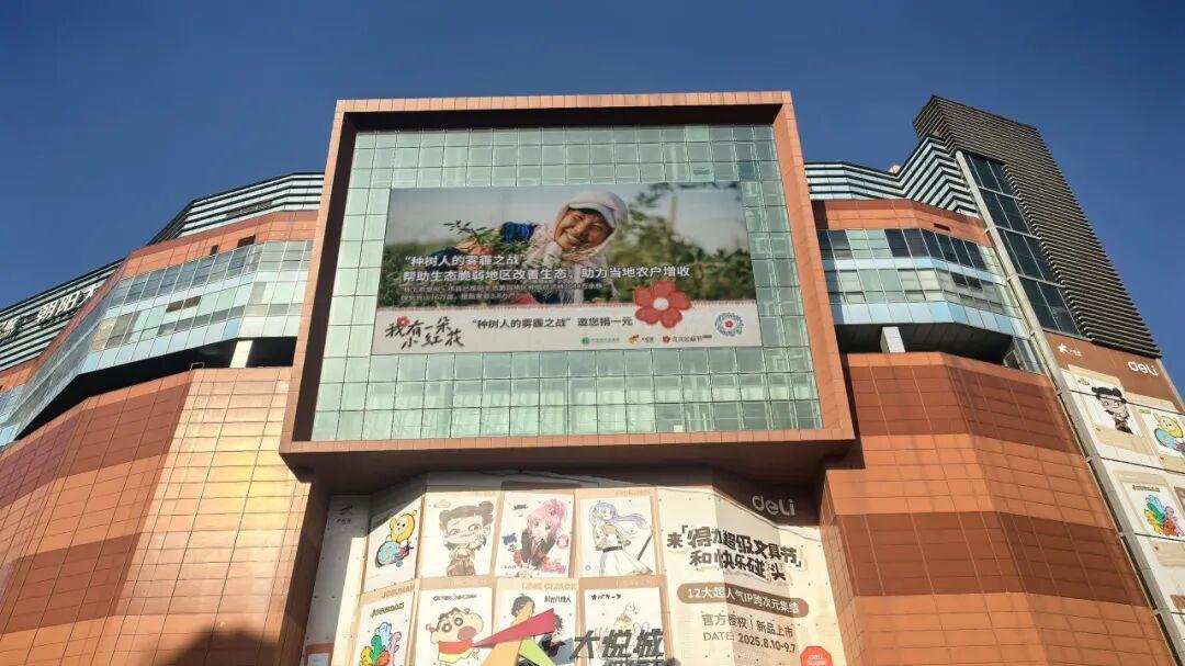 久久公益节丨从荒漠到绿洲：“种树人的雾霾之战” 邀你共续生态希望