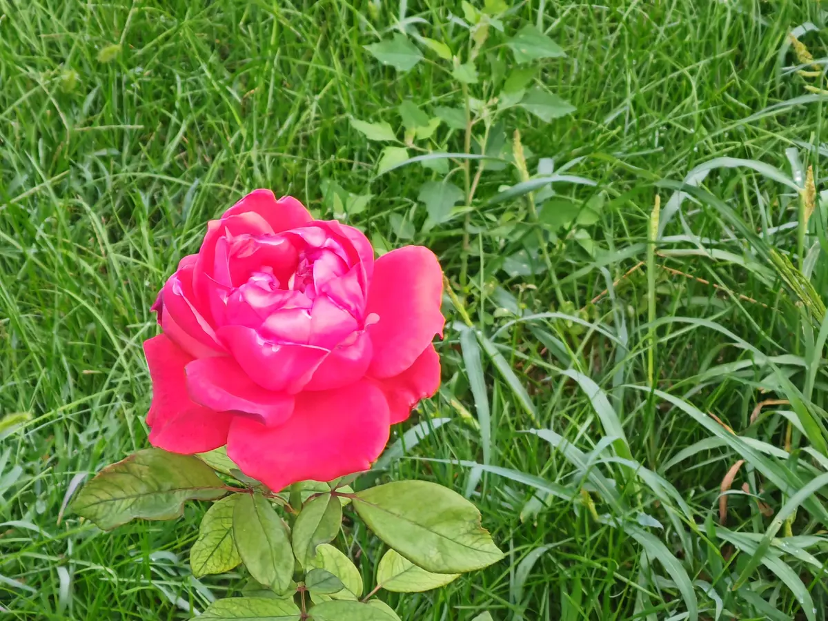 努力永不过时，大气成就未来