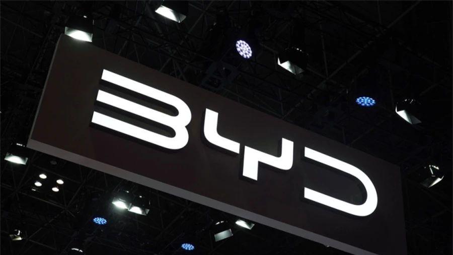 5300余条投诉  比亚迪被指“知新卖旧”引发集体维权|汽车315