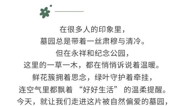 墓位旁适合种什么植物？永祥和纪念公园植物选择与寓意全解析