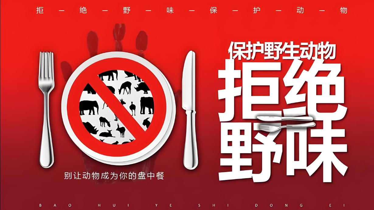 电商助力野生动物保护：科技向善，拒绝非法贸易