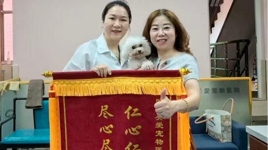 不只治病，更是守护：重庆关爱宠物医院的温度医疗实践