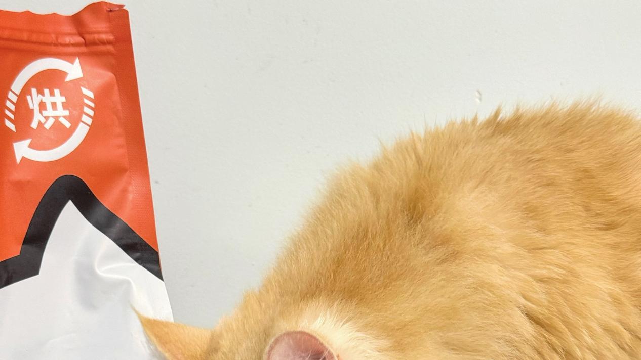 双十一囤货指南：请问猫粮哪个品牌好？看看性价比高的希喂猫粮