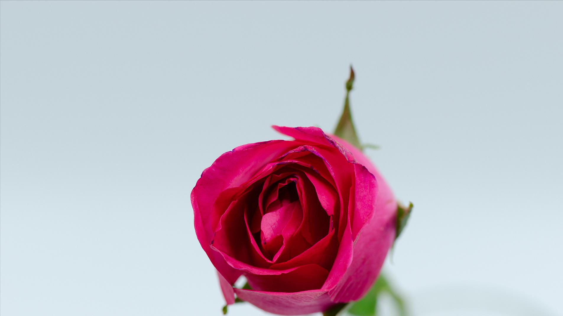 这几种婚外的感情，很难断干净，尤其是第2种