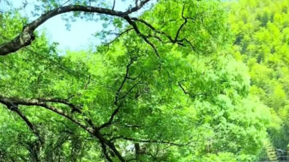 侥幸心理害死人，这不是意外是必然