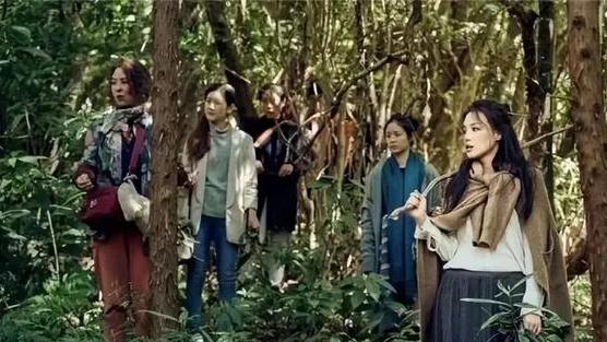 二战期间，1男7女被困孤岛，8年后被美军巡逻船解救，8人变成35人