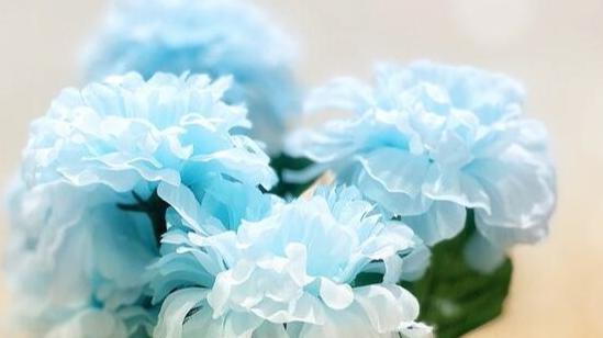 请相信：一个中年女人若是真的爱你，会为你这样做的，装不了