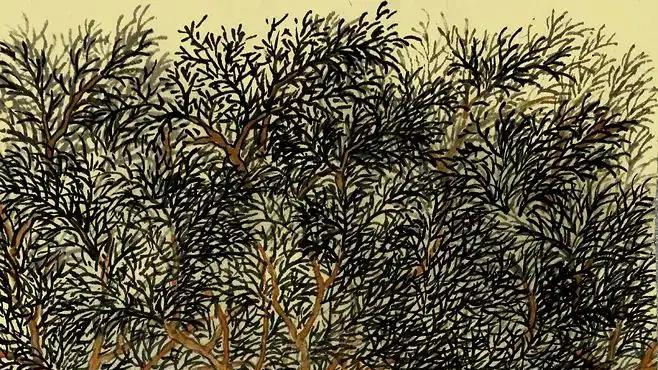 朋友之间关系再好，也不要忽视的十条潜规则！