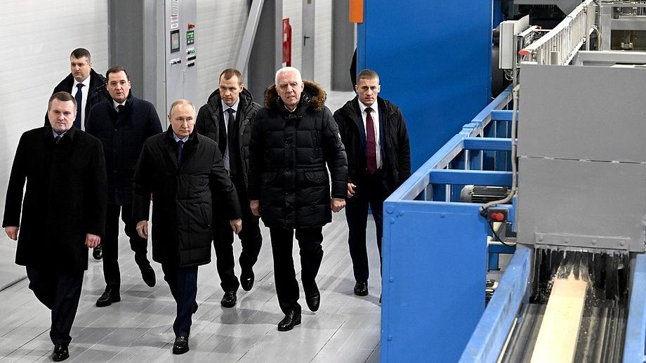 木材产量恐降30%，中国接盘60%遇冷，价格还能扛住吗？