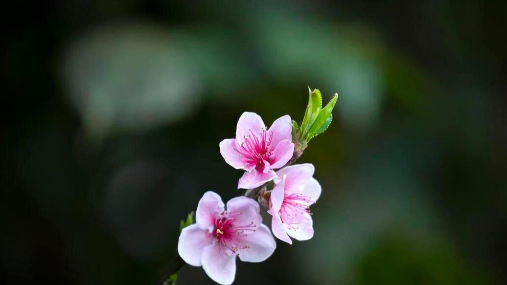 未来几年，会逆袭的几个星座，变美，赚钱，抓住小幸运！