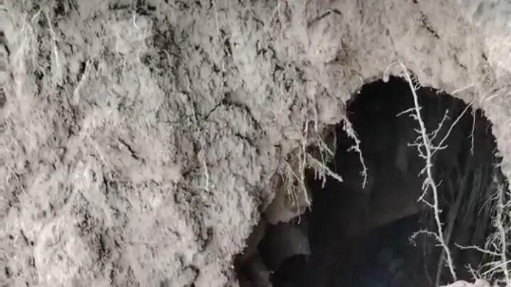 绛县两农户农田遭洗煤厂污水侵袭致作物枯萎，多方维权遇推诿引热议—七重角度叩问：谁来为农民一年辛劳“买