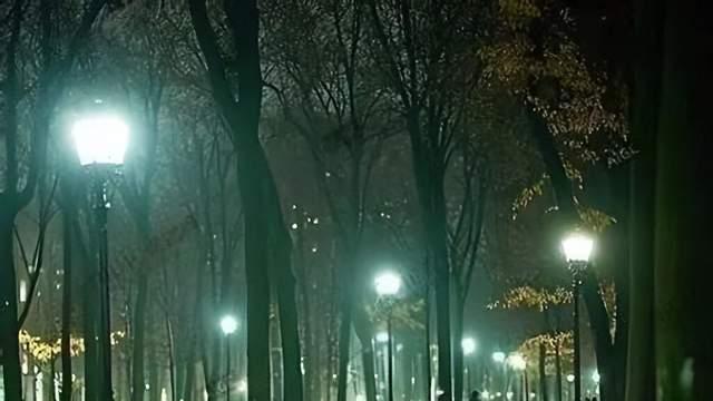 风在林梢鸟在叫