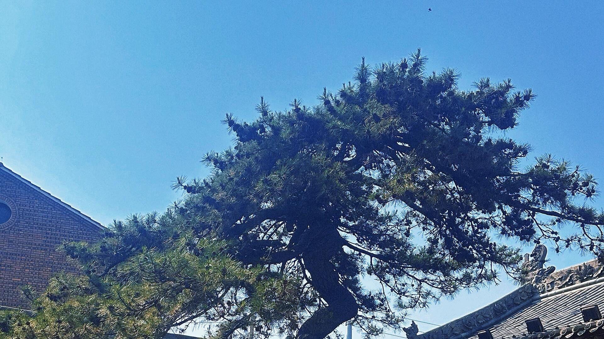 山西晋城太阳古镇：从“商道古驿”到“红韵古村”，这座“明清活态馆”凭啥成晋东南文旅新顶流？