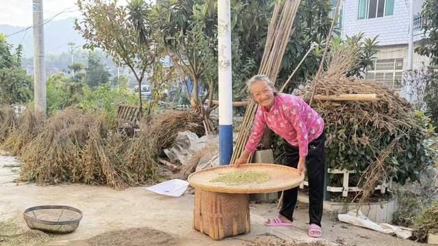 太湖县北中镇：大山里的老黄豆