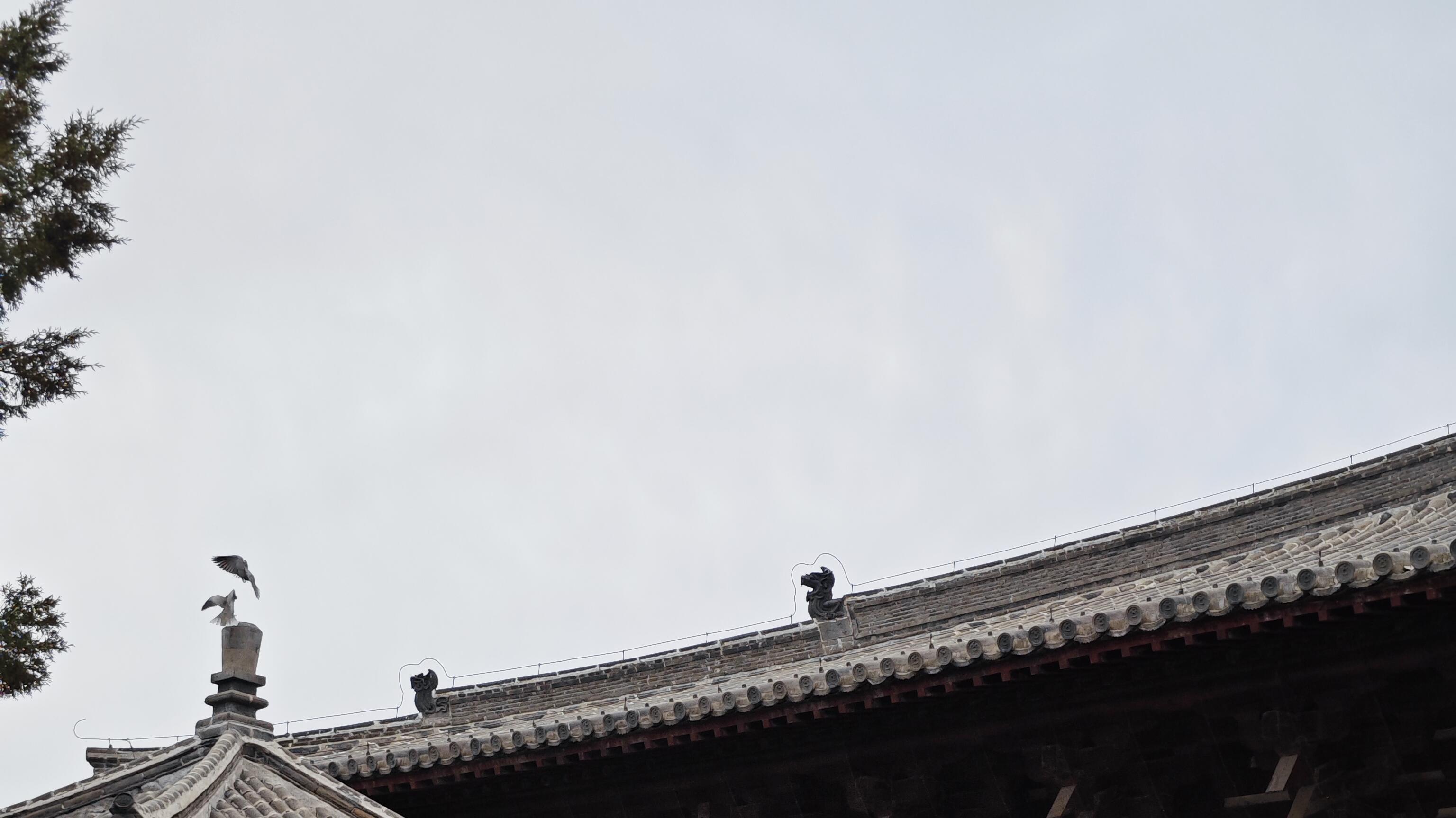 被《国家地理》盖章的千年佛国，藏着中国最震撼的辽代遗珍